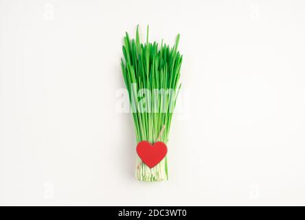 A bunch of wheat grass with a red heart on a light background. Stock Photo