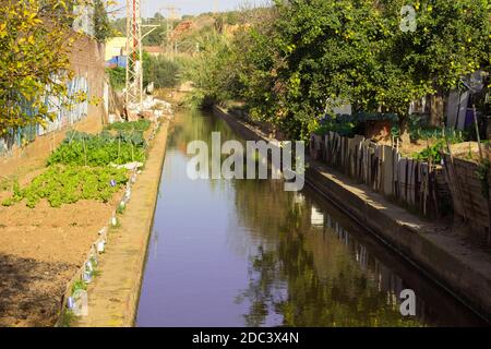 watering of agricultural crops, countryside, natural watering, irrigation, village Stock Photo