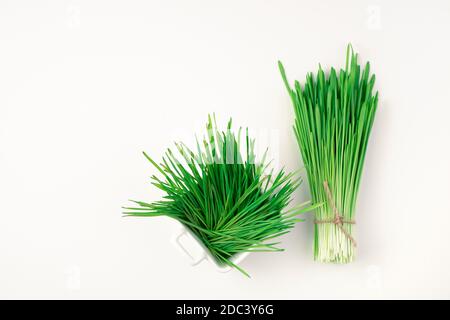 Green wheat grass in a bouquet and a white Cup with sprouts on a white background. Stock Photo