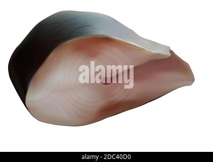 Realistic vector piece of herring isolated on white background. Delicious fish illustration Stock Vector