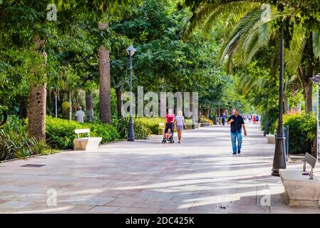 Paseo del parque. Málaga, Andalucía, Spain, Europe Stock Photo