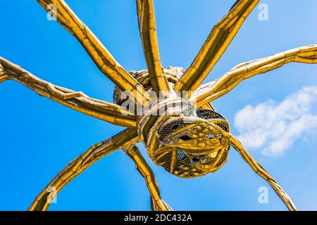 Maman, by Louise Bourgeois, is a monumental steel spider, so large that it can only be installed out of doors, an icon in the Bilbao city. Permanent c Stock Photo