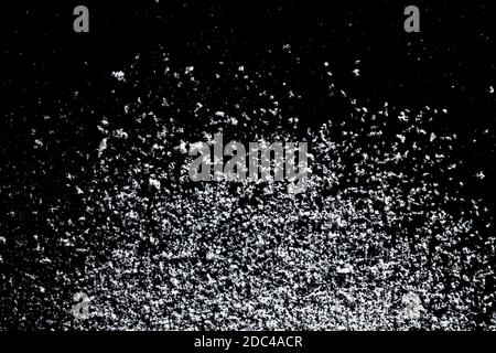Snowflakes particles isolated on black background. Abstract template for design Stock Photo
