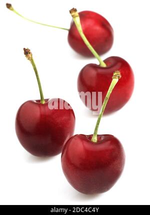 BIGARREAU CHERRIES (FRENCH SPECY) AGAINST WHITE BACKGROUND Stock Photo