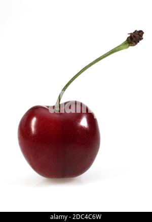 BIGARREAU CHERRY (FRENCH SPECY) AGAINST WHITE BACKGROUND Stock Photo