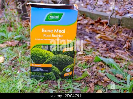 Norwich, Norfolk, UK – November 17 2020. An illustrative photo of a box of Westland bonemeal root builder in a rural garden Stock Photo