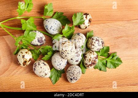 Spotted quail eggs on wooden cutting board. Green parsley Stock Photo