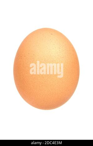 Single brown chicken egg isolated on white background Stock Photo