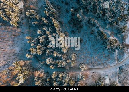 Top view on the narrow road in snow in the winter forest Stock Photo