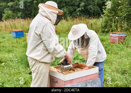 Perm, Russia - August 13, 2020: two beekeepers cheking the hive using a smoker and removing the top cover Stock Photo