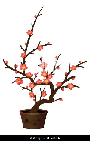 Ink plum bonsai Stock Photo