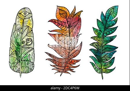 Hand drawn feather set with doodle, zentangle, floral, vintage elements and watercolor background. Isolated on white. Vector illustration. Stock Vector