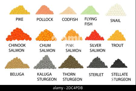 Set of hand drawn colored piles of caviar isolated on white. salmon, sterlet, trout, sturgeon, pollock. Stylized vector illustration. Stock Vector