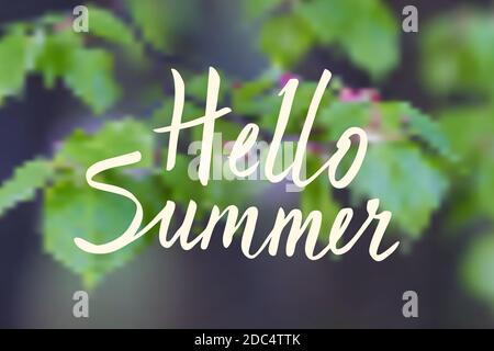 Hello summer hand drawn brush lettering on blurred natural background. Hand written calligraphy style. Vector poster element. Stock Vector