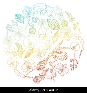 Hand drawn set of orchid flowers and floral elements in circle shape with gradient. Isolated on white. Colored vector illustration. Stock Vector