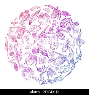 Hand drawn set of orchid flowers and floral elements in circle shape with gradient. Isolated on white. Colored vector illustration. Stock Vector