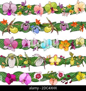 Hand drawn set of floral brushes. Colored vector illustration. elements for design. Orchids flowers. Stock Vector