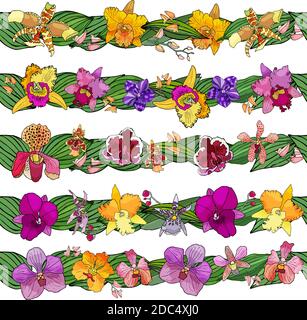 Hand drawn set of floral brushes. Colored vector illustration. elements for design. Orchids flowers. Stock Vector