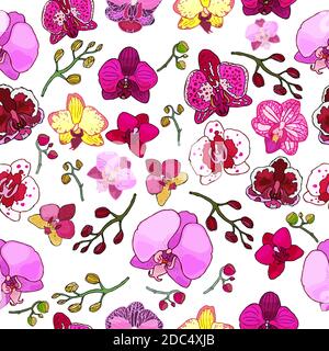 Seamless pattern with hand drawn orchids and floral elements. Colored vector illustration. Stock Vector