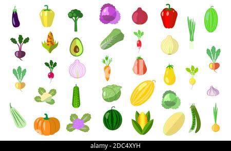 Set of flat style vegetables isolated on white. melon, squash, beets, peppers, avocado Stock Vector