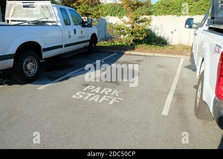 Empty parking spot with white stenciled Park Staff sign; reserved space for park employees only; San Francisco, California, USA. Stock Photo