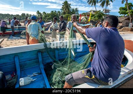 A fisherman gathering a fishing net on Arugam Bay beach in the early  morning. Arugam Bay is a small fishing town on the east coast of Sri Lanka  Stock Photo - Alamy