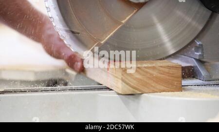 Hand holding a raw piece of timber being sawn by a fast cutting circular saw blade. Sawdust flying out. Industrial workplace manual vocation skills co Stock Photo