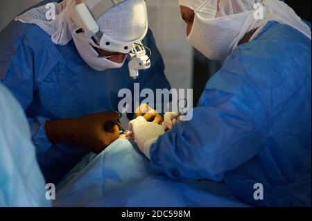 Surgery. Chief surgeon uses scissors to make an incision, the assistant holds the retractor. Stock Photo