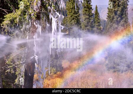 Rainbow near the waterfall in the middle of the forest in the highlands; massive icicles made of dripping ice on spruce branches Stock Photo