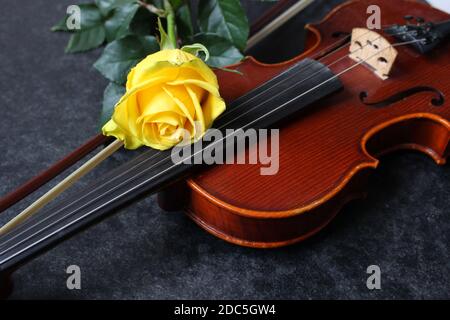 Violin and yellow rose on black background Stock Photo