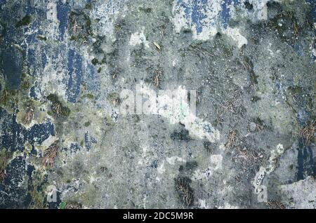 Grunge background made of stained weathered concrete wall. Stock Photo