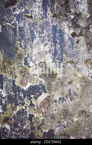Grunge background made of stained weathered concrete wall. Stock Photo