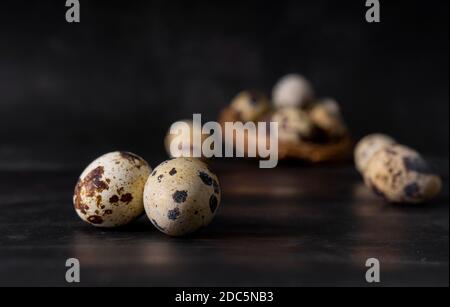 selective focus. small fresh quail eggs. minimalism. in a small artificial nest Stock Photo