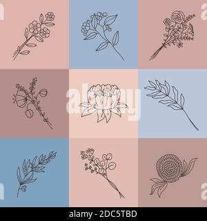 Minimalist line flowers. Simple poster with abstract meadow bouquet. Elegant outline flower, olive branch, herbs and lotus, plant vector set Stock Vector