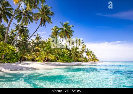 Tranquil beach scene. Sunny exotic tropical beach landscape. Summer vacation holiday concept. Luxury travel destination, idyllic nature, palms, sea Stock Photo