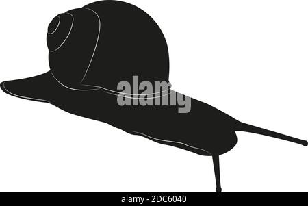 Snail isolated on a white background. Vector black silhouette Stock Vector