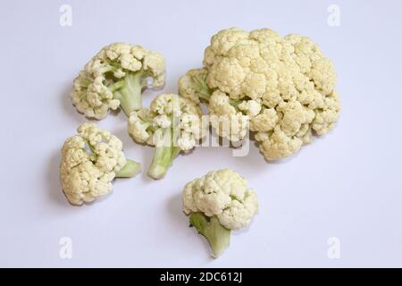 Fresh Organic Natural Cauliflower Vegetable over on white background, selective focus with blur. Stock Photo