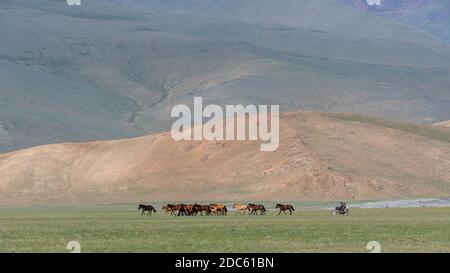 Steppe of Mongolia on a summers day with mountains, horses and Motorcycle. Stock Photo
