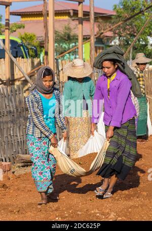 Villagers undertake manual road construction work at West Phwar Saw Village, Bagan, Myanmar (Burma), Asia in February - women moving materials Stock Photo