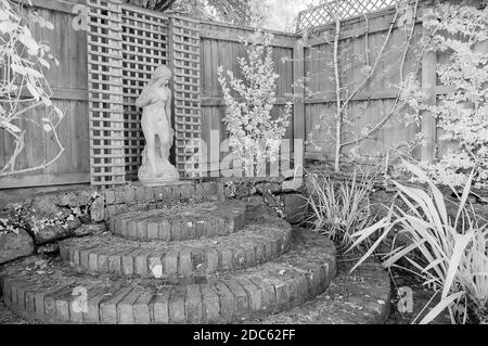 Infrared shot of Andromeda in a Country Garden. Stock Photo