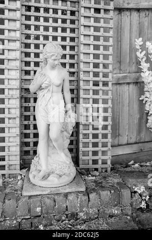 Infrared shot of Andromeda in a Country Garden. Stock Photo