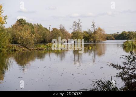 View across Stockers Lake in autumn. Rickmansworth, Hertfordshire, England, UK Stock Photo