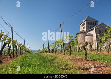 geography / travel, Germany, Hesse, Geisenheim, castle Johannisberg with vineyard, Upper Middle Rhine , Additional-Rights-Clearance-Info-Not-Available Stock Photo