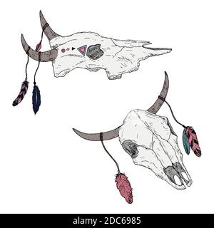 Bull skulls with feathers on horns. Boho style. Vector illustrations. Isolated on white. Hand-drawn style. Stock Vector