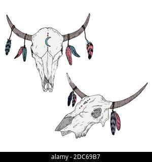 Bull skulls with feathers on horns. Boho style. Vector illustrations. Isolated on white. Hand-drawn style. Stock Vector