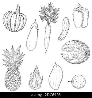 Set of fruits and vegetables. Vector cartoon illustration. Isolated objects on a white background. Hand-drawn style. Vegetarian food. Stock Vector