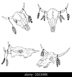 Bull skulls with feathers on horns. Boho style. Vector illustrations. Isolated on white. Hand-drawn style. Stock Vector