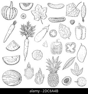 Set of fruits and vegetables. Vector cartoon illustration. Isolated objects on a white background. Hand-drawn style. Vegetarian food. Stock Vector