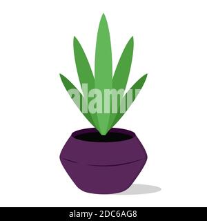 Houseplant. Vector cartoon illustration in flat style. Isolated object on white. Stock Vector