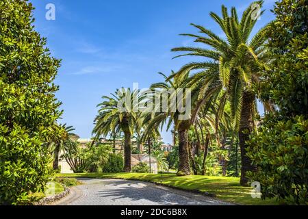 Rome, Vatican City / Italy - 2019/06/15: Panoramic view of the alleys of the Vatican Gardens in the Vatican City State Stock Photo